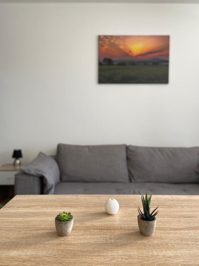 Grand Studio Confortable Et Spacieux Avec Terrasse Villeneuve-lès-Maguelonne Esterno foto